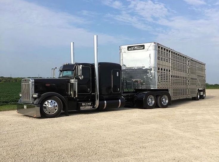 Bullhauler truk pengangkut ternak yang selalu terus bergerak tanpa henti